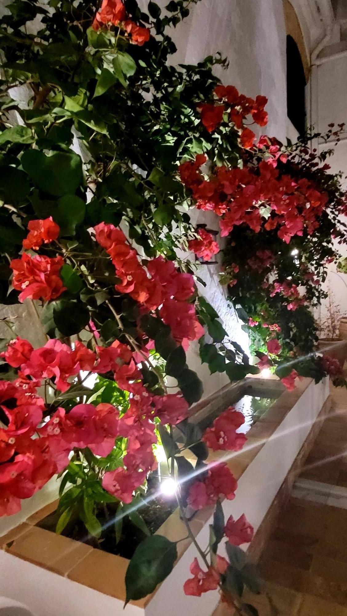 Albariza Hotel Boutique Санлукар-де-Баррамеда Екстер'єр фото